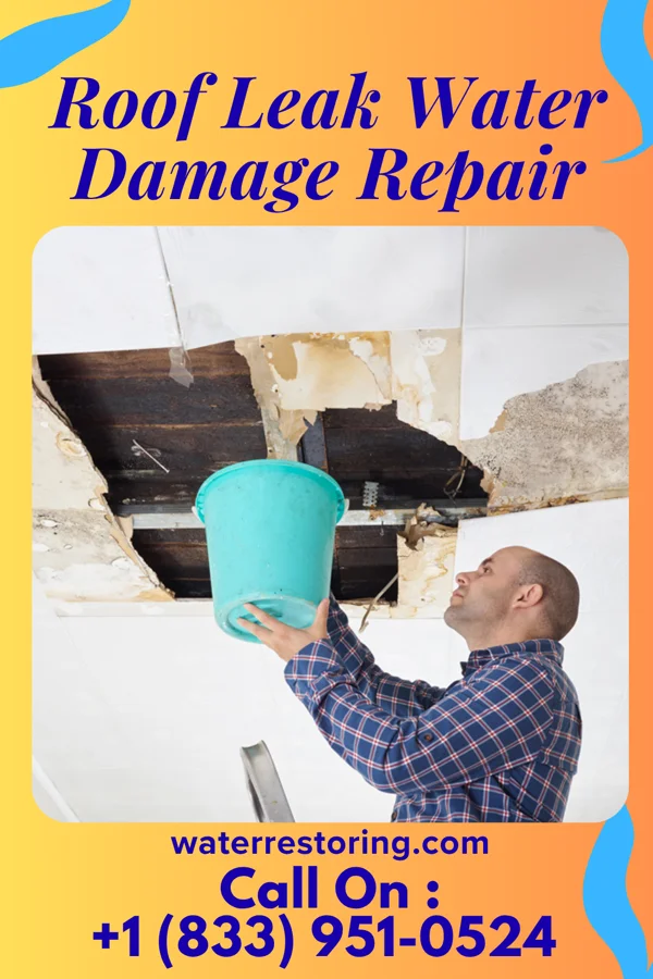 Roof Leak Water Damage Repair in Oakland City, IN
