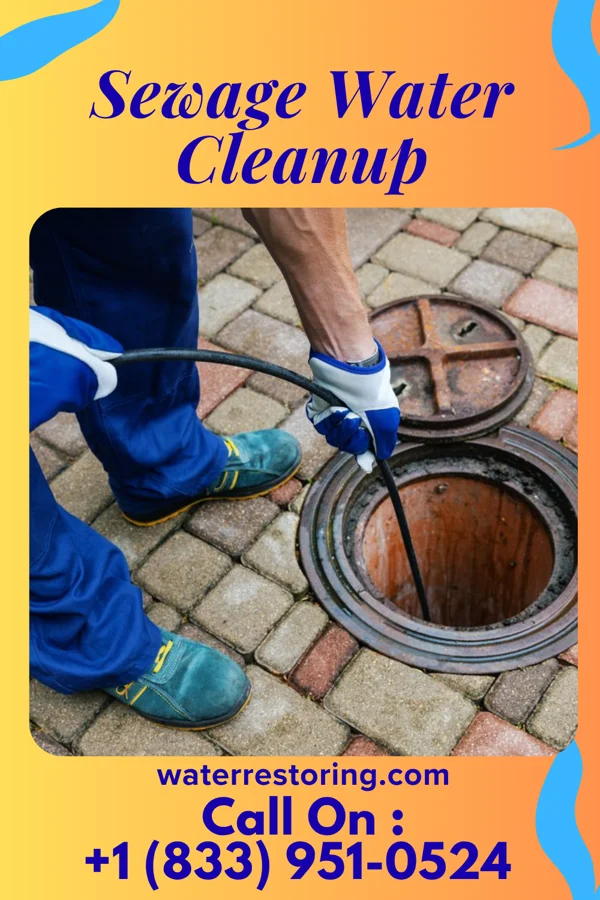 Sewage Water Cleanup in Oakland City, IN